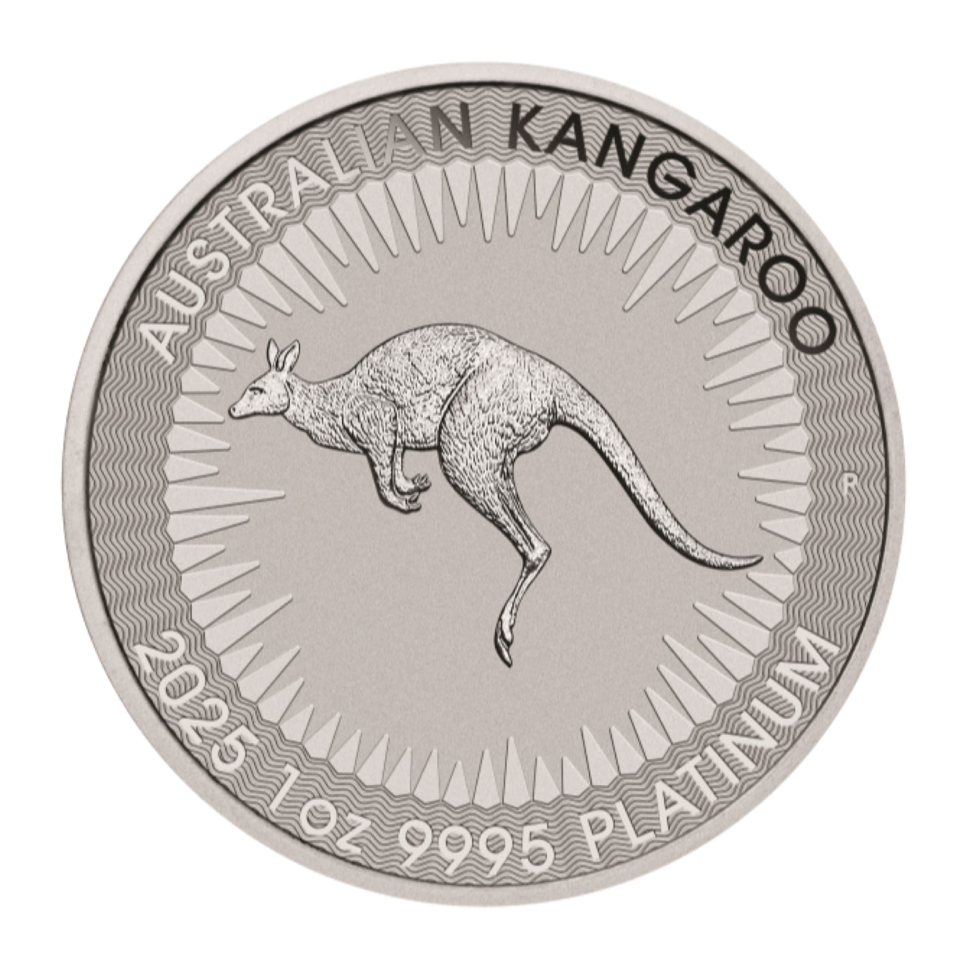 2025 1 oz Australian Platinum Kangaroo Coin (BU) - amrarecoin.com