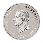 2025 1 oz Australian Platinum Kangaroo Coin (BU) - amrarecoin.com