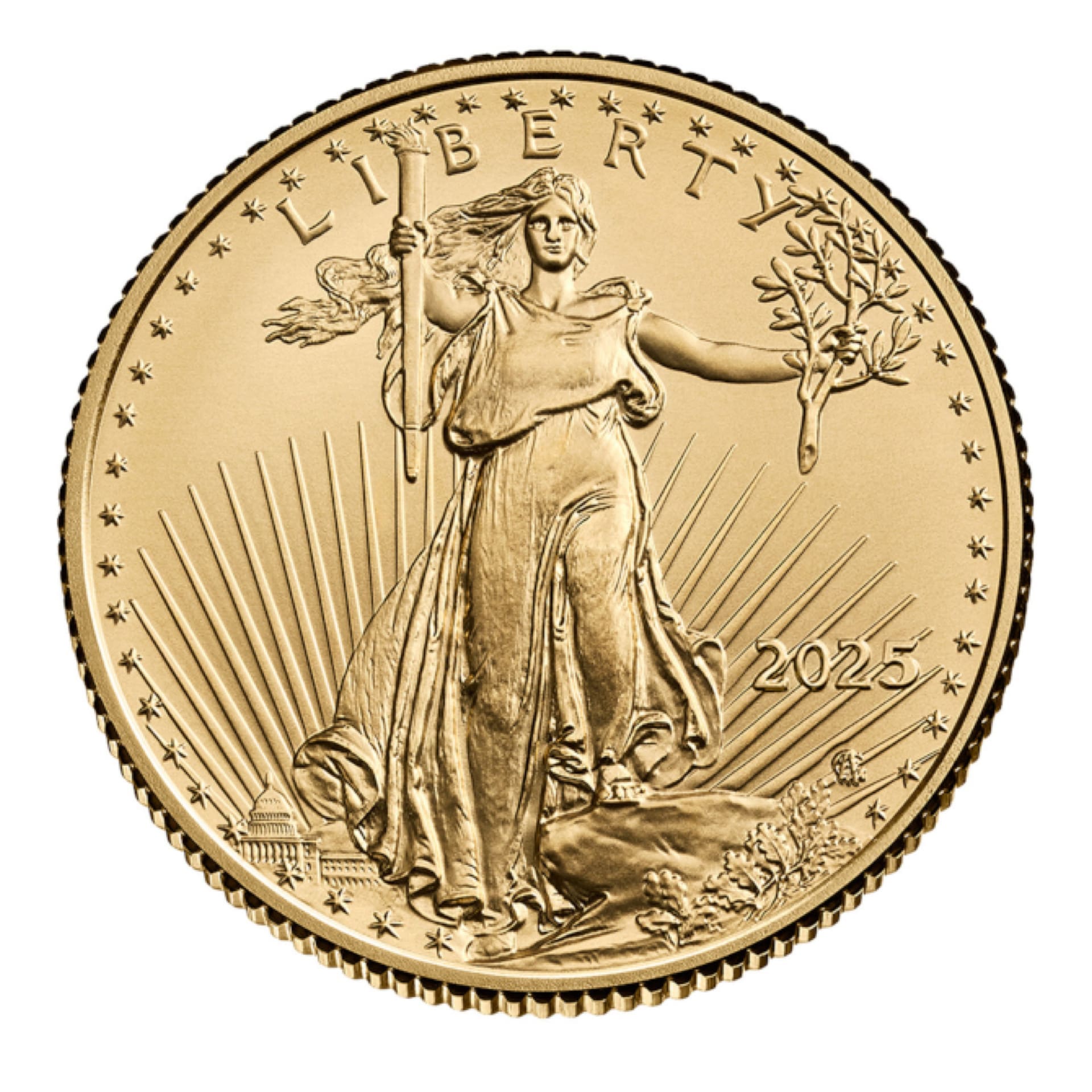 2025 American Gold Eagle - Tube of 20 Coins (BU) - amrarecoin.com