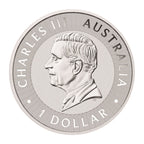 2025 Australian Silver Kangaroo 250 Coin Monster Box (BU) - amrarecoin.com