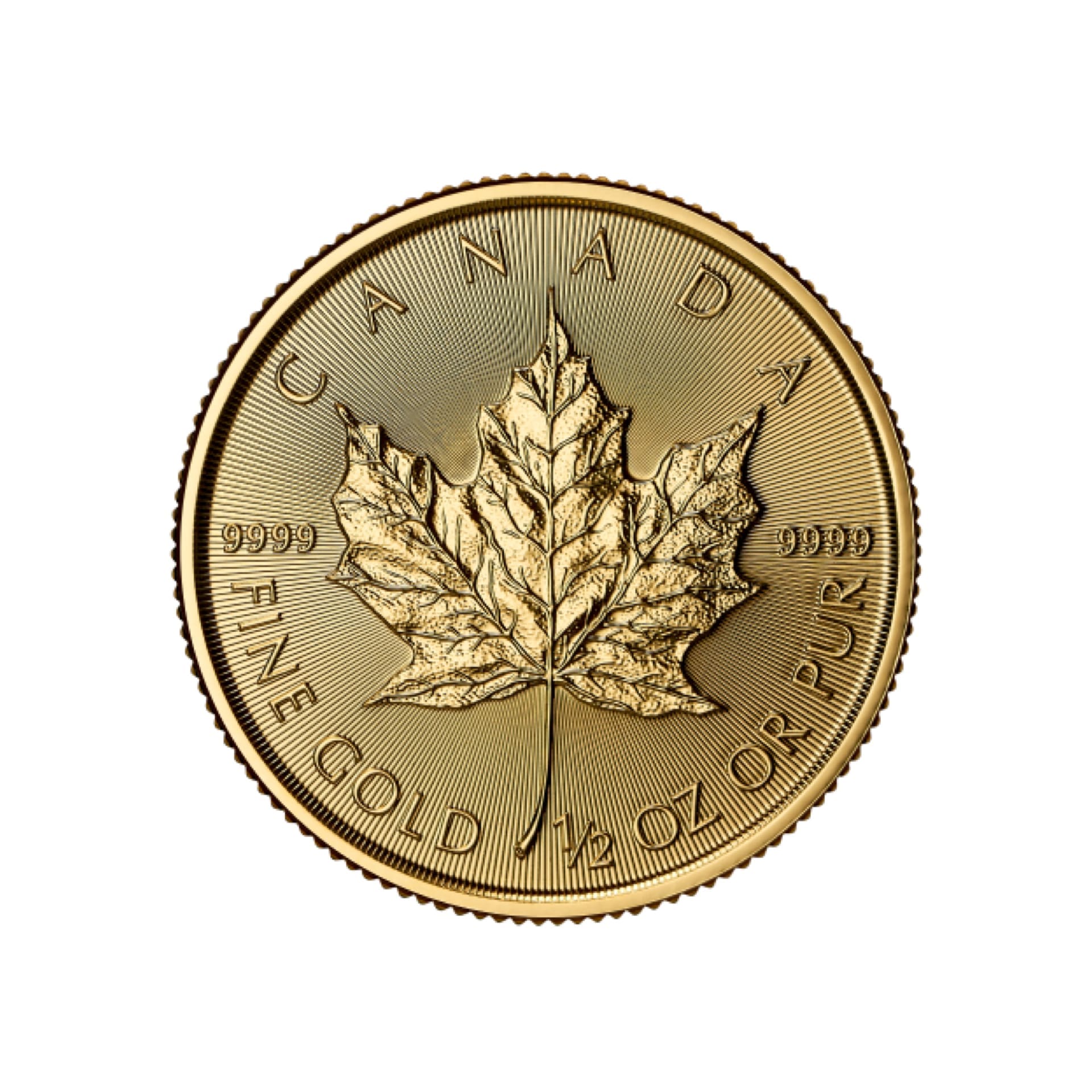 2025 Canadian Gold Maple Leaf 1/2 oz (BU) - amrarecoin.com