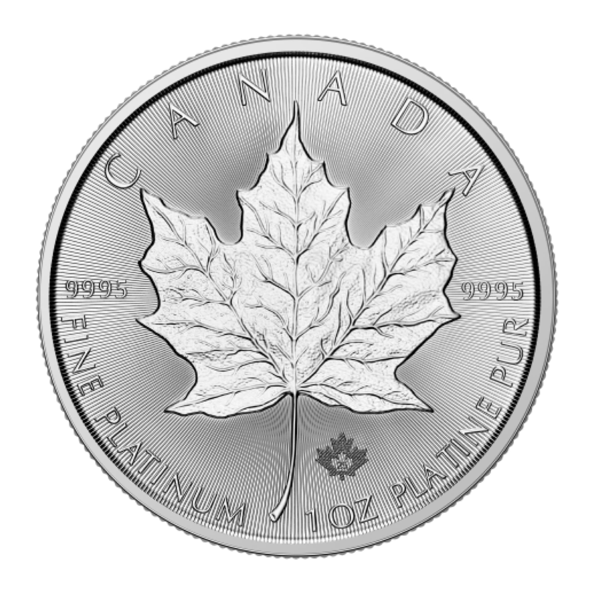 2025 Canadian Platinum Maple Leaf 1 oz - amrarecoin.com
