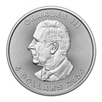 2025 Canadian Silver Maple Leaf 1 oz (BU) - amrarecoin.com