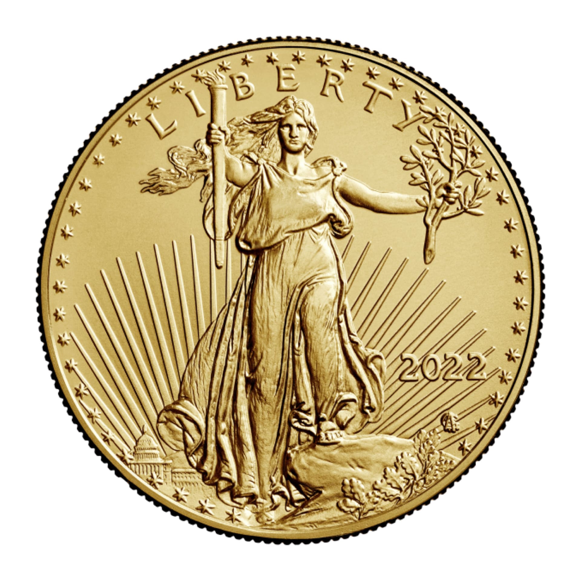 American Gold Eagle 1 oz (Varied Year) - amrarecoin.com