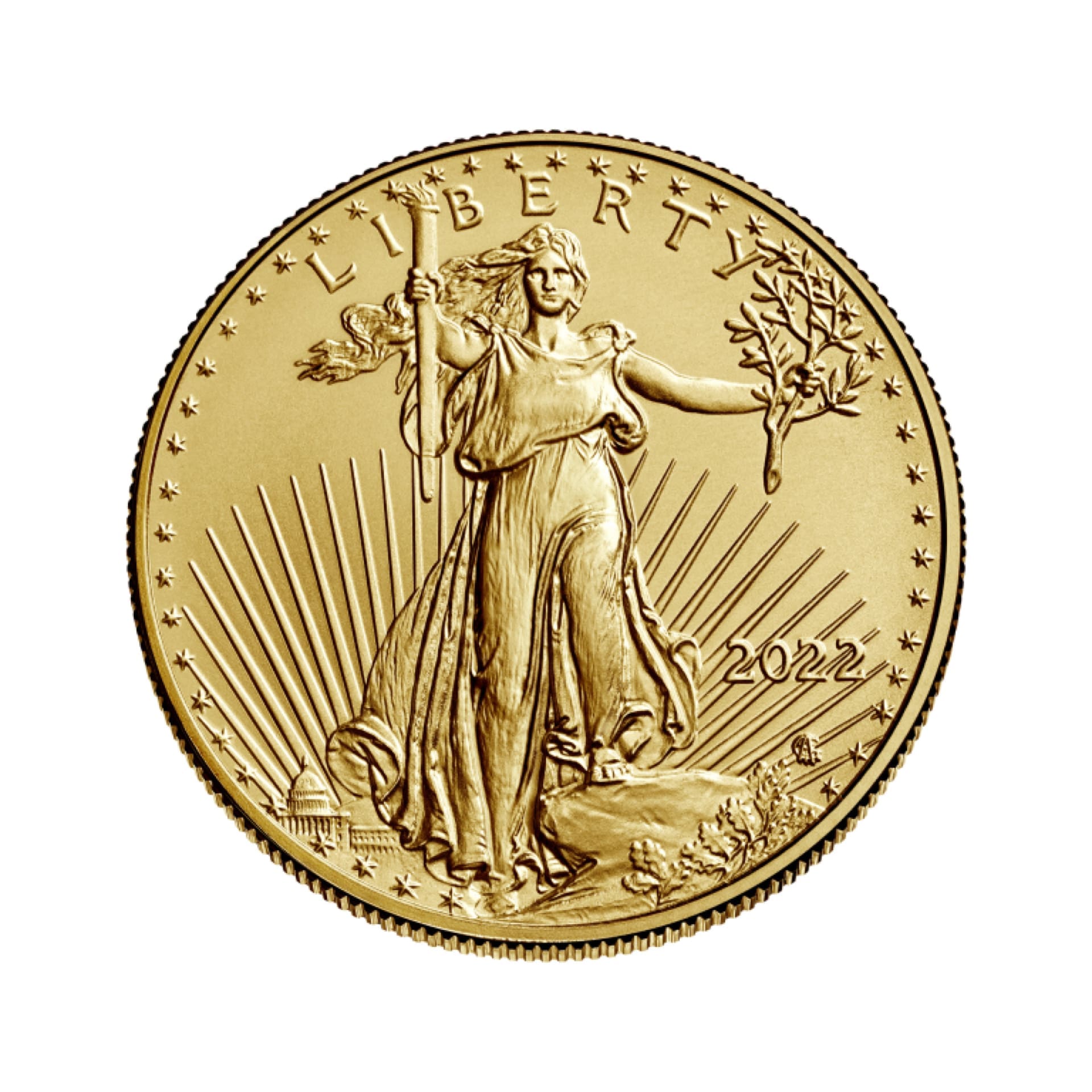 American Gold Eagle 1/2 oz (Varied Year) - amrarecoin.com