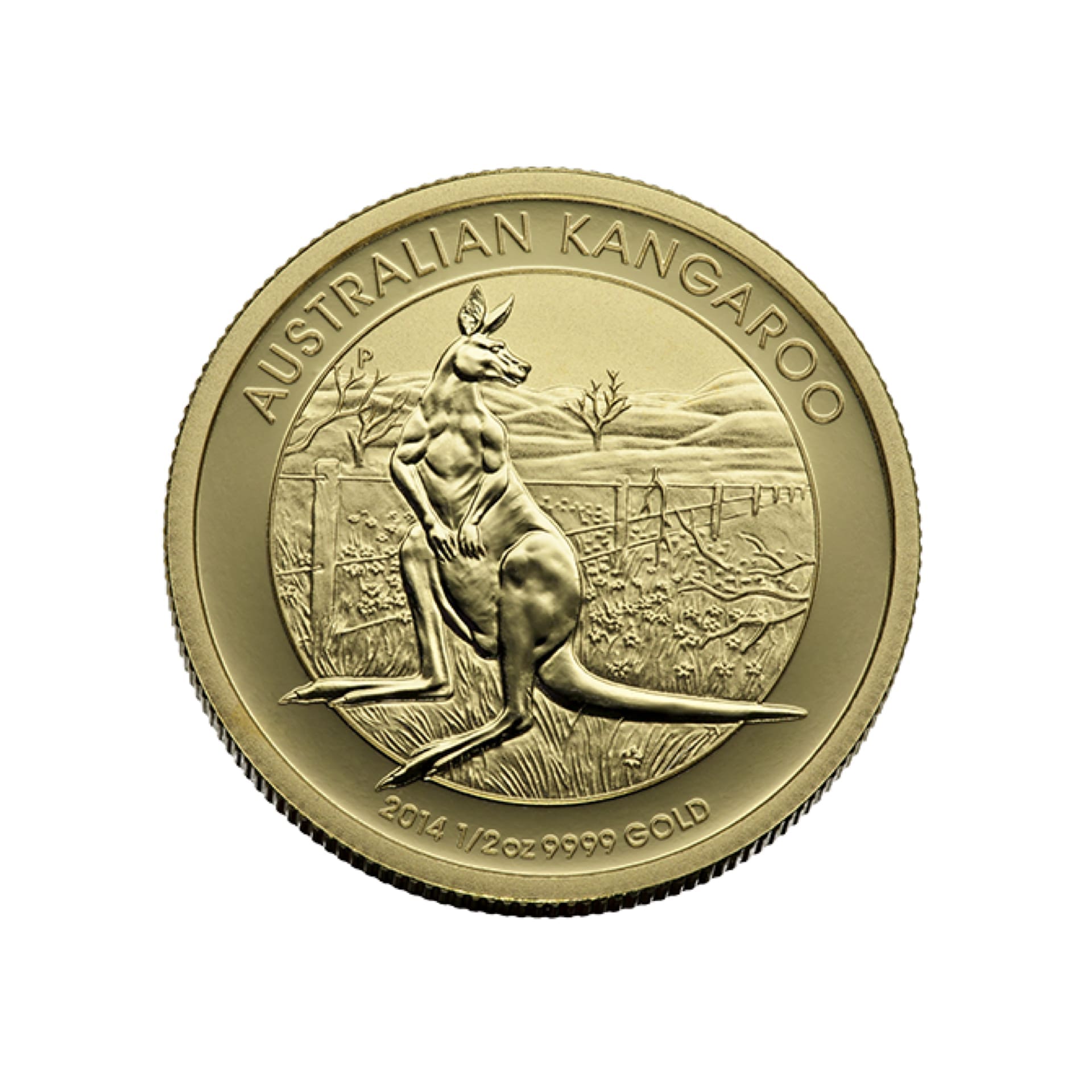 Australian Gold Kangaroo 1/2 oz (Varied Year) - amrarecoin.com