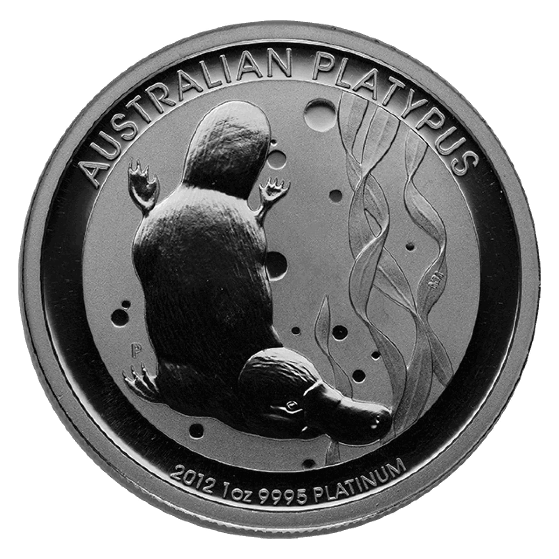 Australian Platinum Platypus 1 oz (Varied Year) - amrarecoin.com