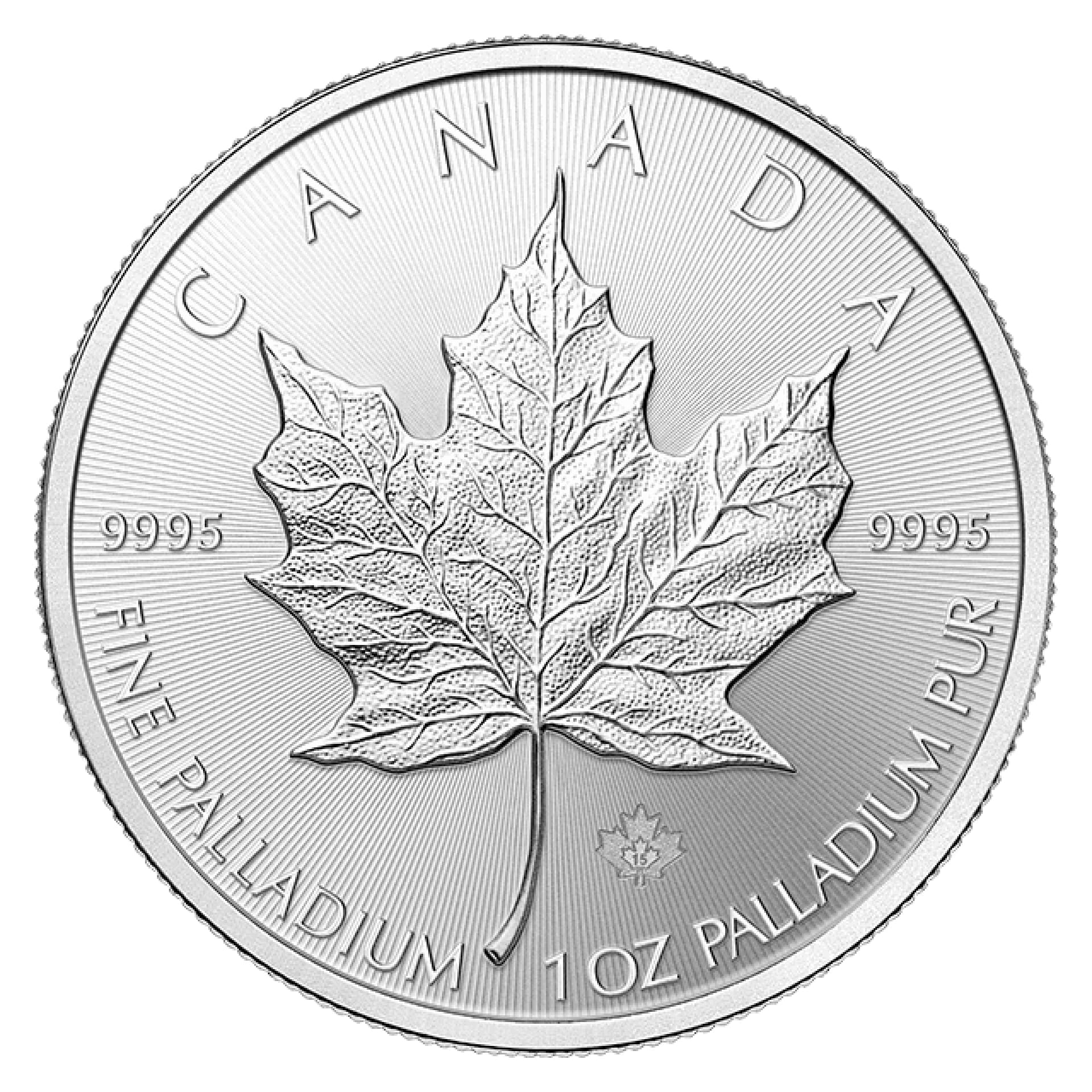 Canadian Palladium Maple Leaf 1 oz (Varied Year) - amrarecoin.com